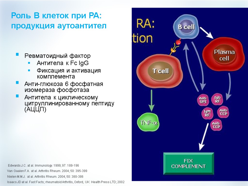 Ревматоидный фактор Антитела к Fc IgG Фиксация и активация комплемента Анти-глюкоза 6 фосфатная изомераза